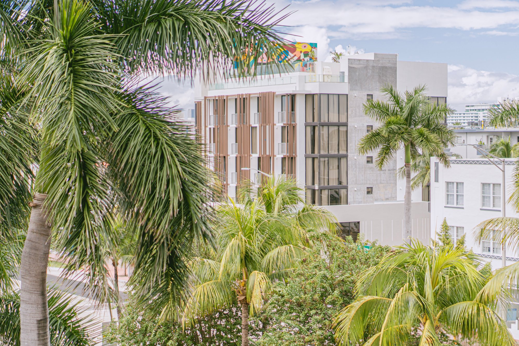 A picture of Upsun Hotel in between palm trees in south beach miami