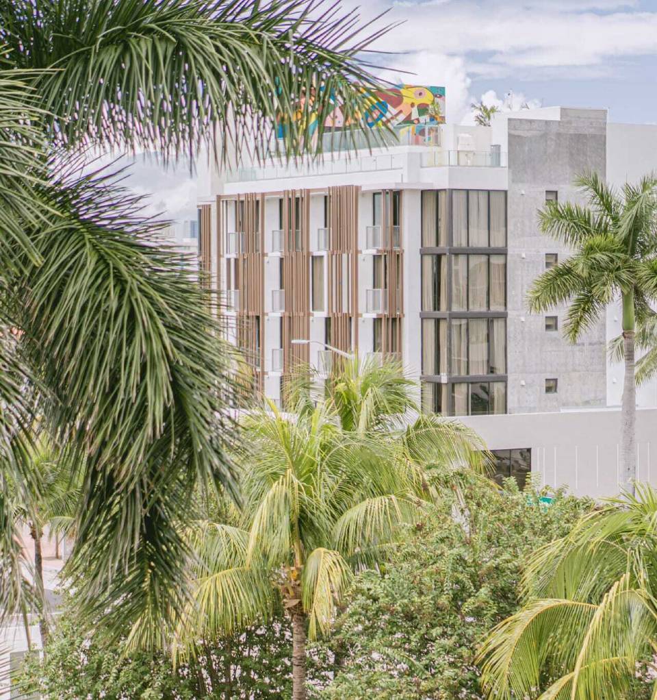 Upsun Hotel Miami Beach near South Pointe Park with tropical palm trees