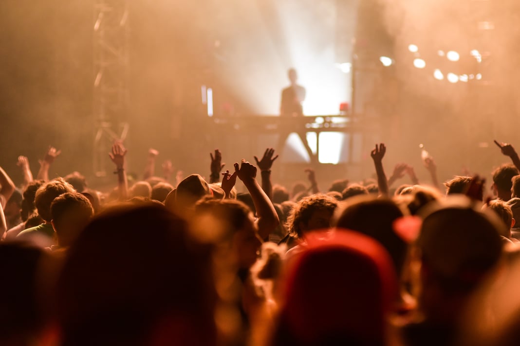 people enjoying a concert